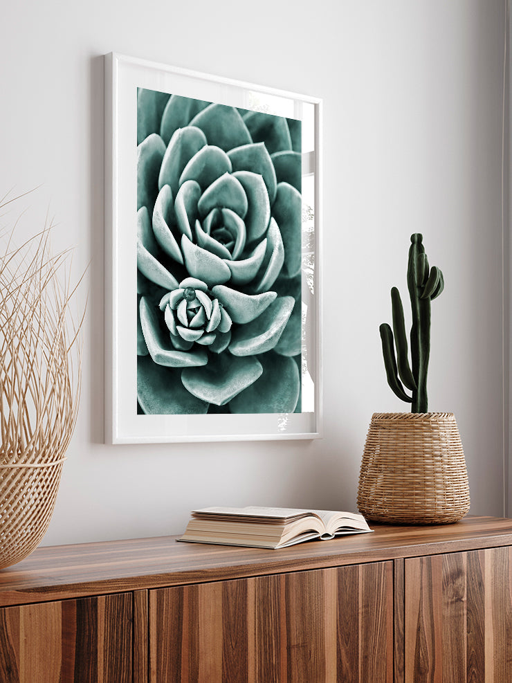 Yeşil Sukulent - Art Print Poster