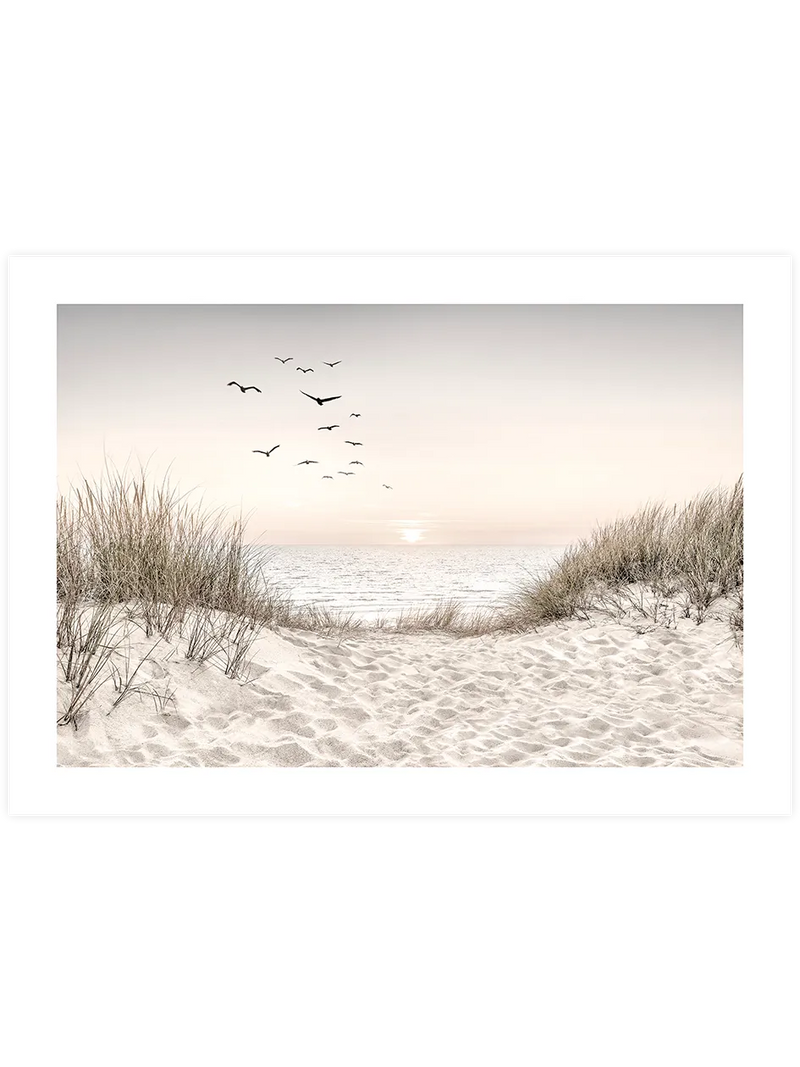 Sunset - Art Print
