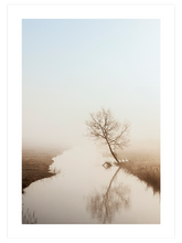 Brume Matinale N2 - Art Print
