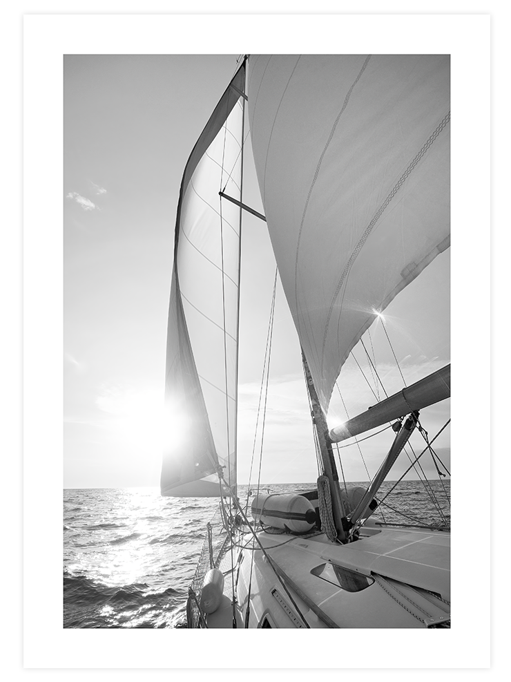 Black & White Elegance Poster Seti Poster