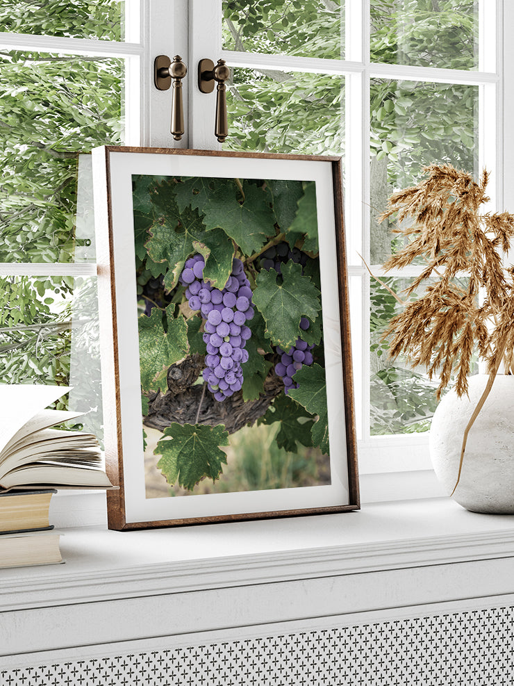 Mavi Üzüm Salkımı - Art Print Poster