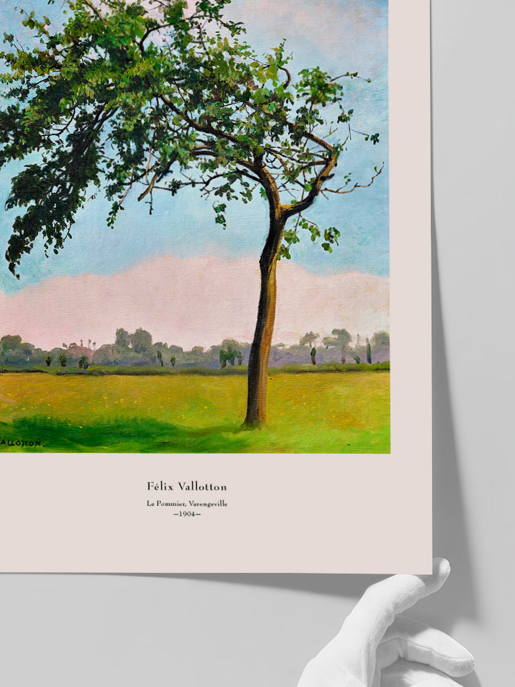 Félix Vallotton Le Pommier, Varengeville - Art Print Poster
