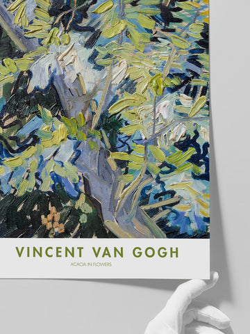 Van Gogh Acacia in Flowers - Art Print Van Gogh Acacia in Flowers - Art Print