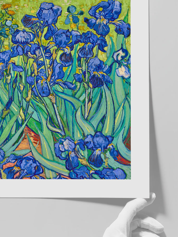 Van Gogh Irises - Art Print Poster