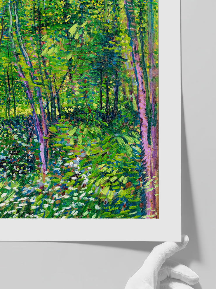 Van Gogh Trees and Undergrowth - Art Print Poster