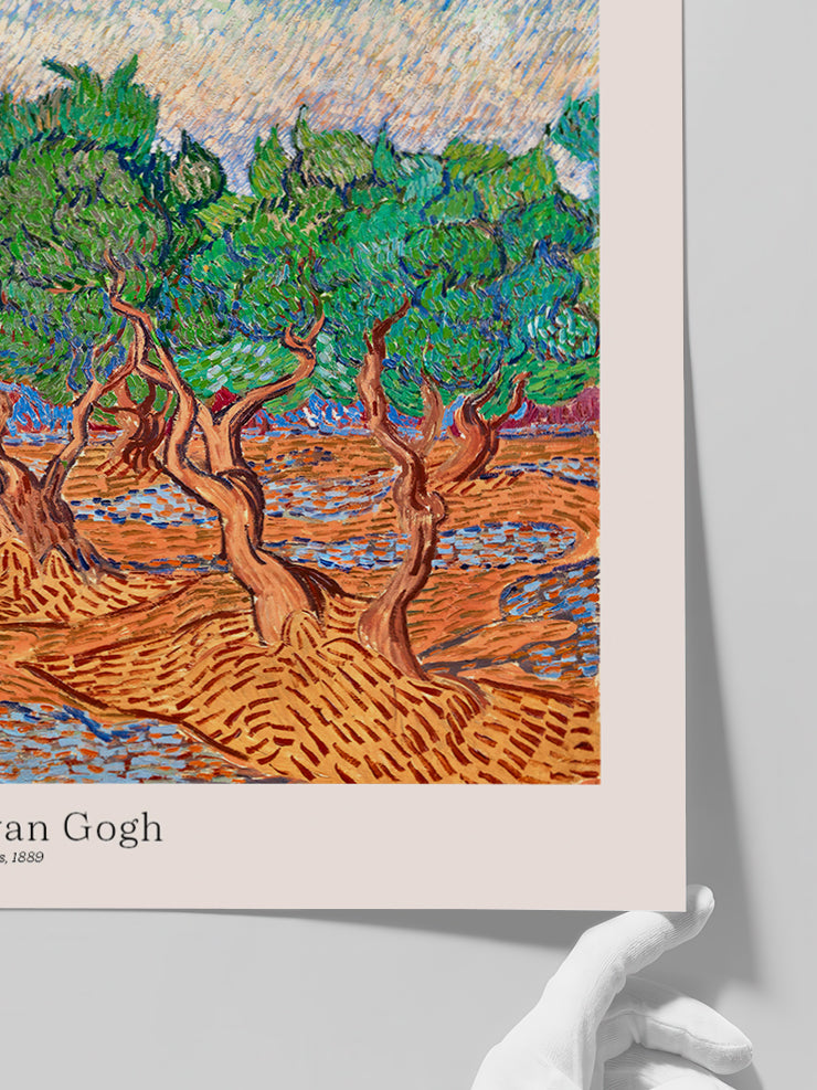 Van Gogh Zeytin Ağaçları - Art Print Poster