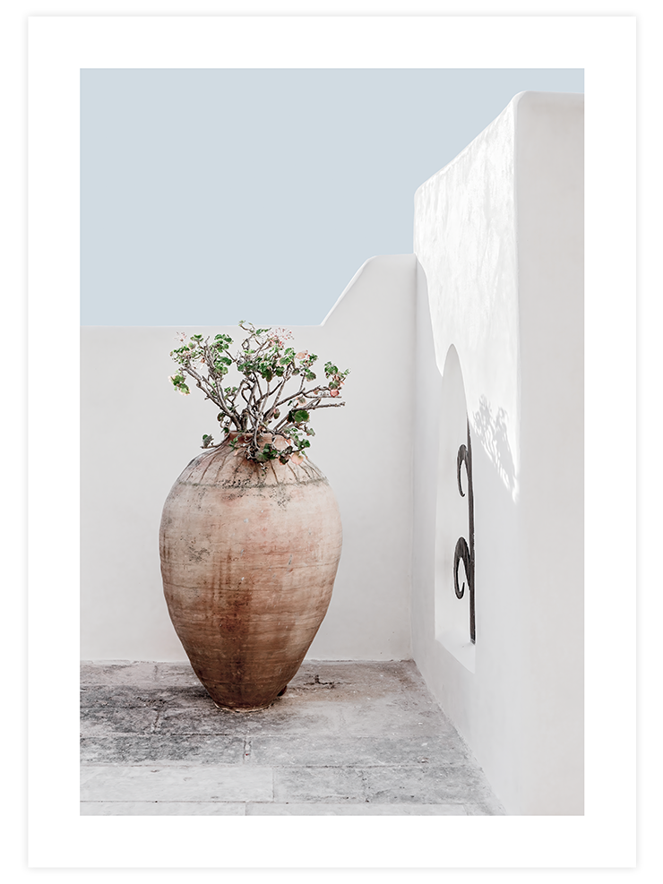 Saksı - Art Print Fotoğraflar Poster