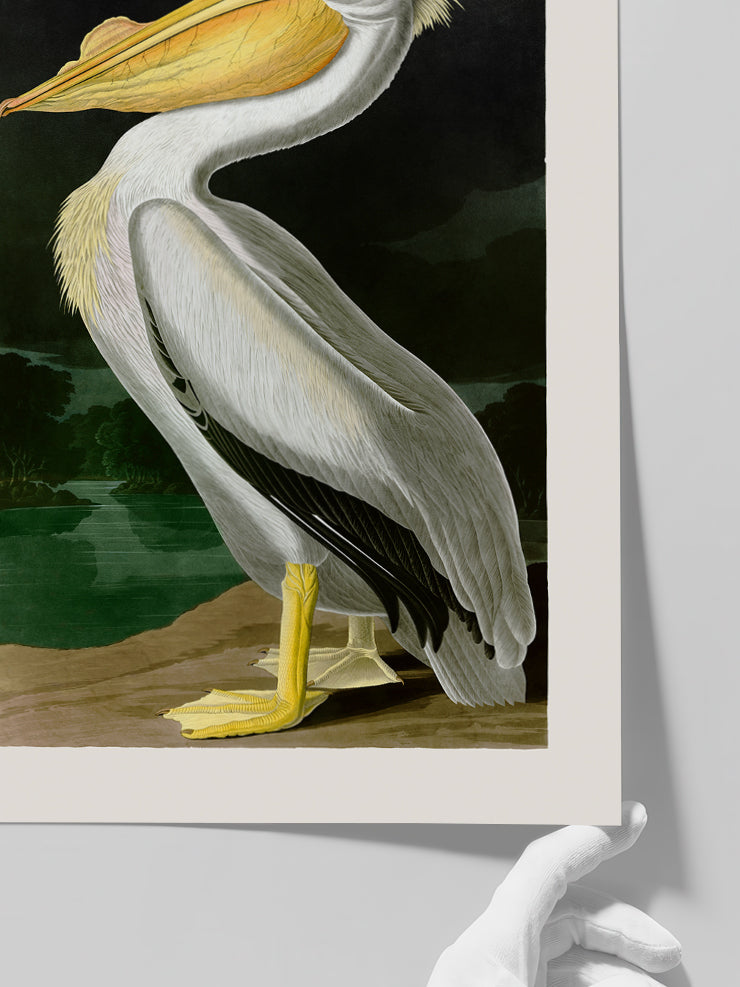 Vintage Pelikan - Art Print Poster