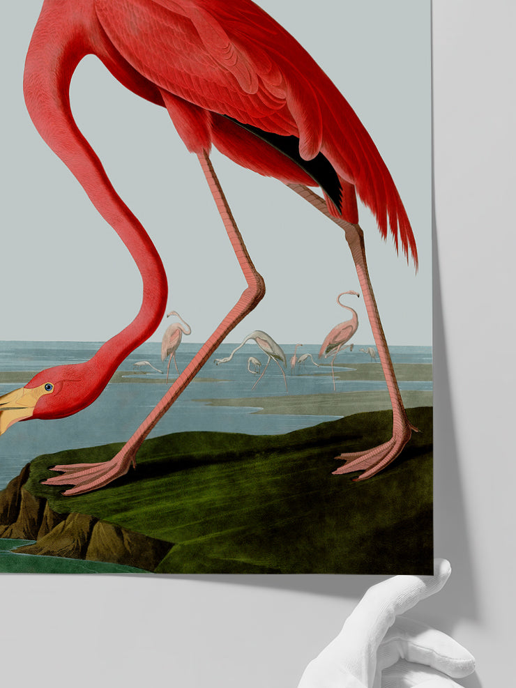 Vintage Flamingo - Art Print Poster