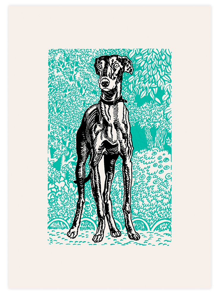 Vintage Borzoy & Chortai - Poster Seti Duo Poster