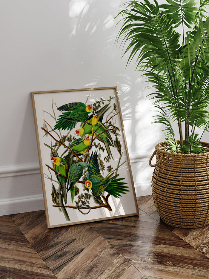 Vintage Papağan - Art Print Poster