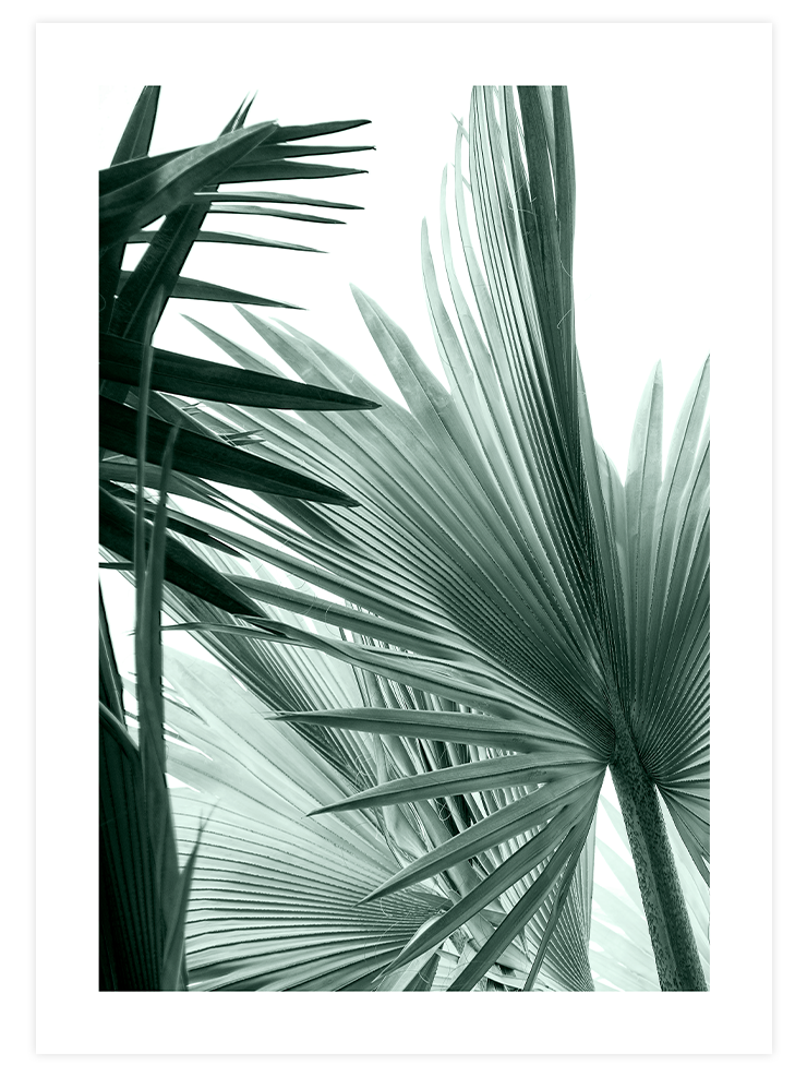 Green Elegance Poster Seti Poster