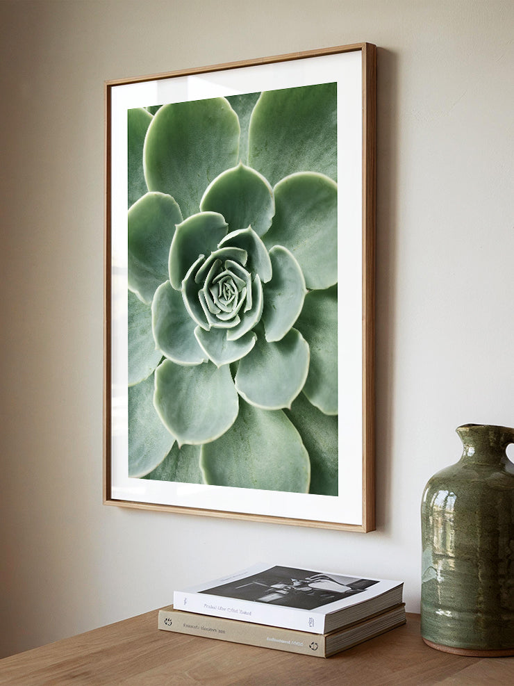 Yeşil Sukulent - Art Print Poster