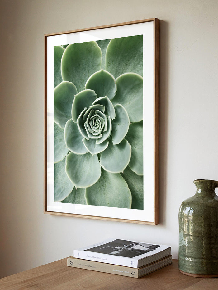 Yeşil Sukulent - Art Print Poster