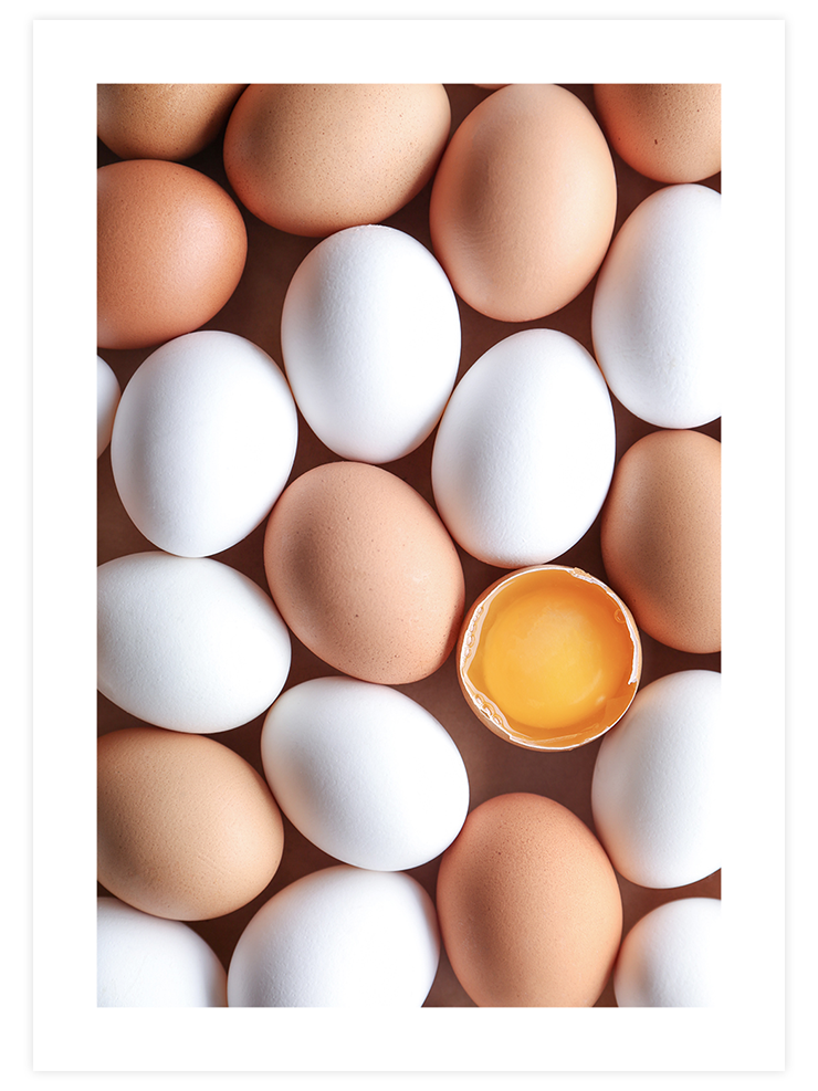Eggs - Art Print Fotoğraflar Poster