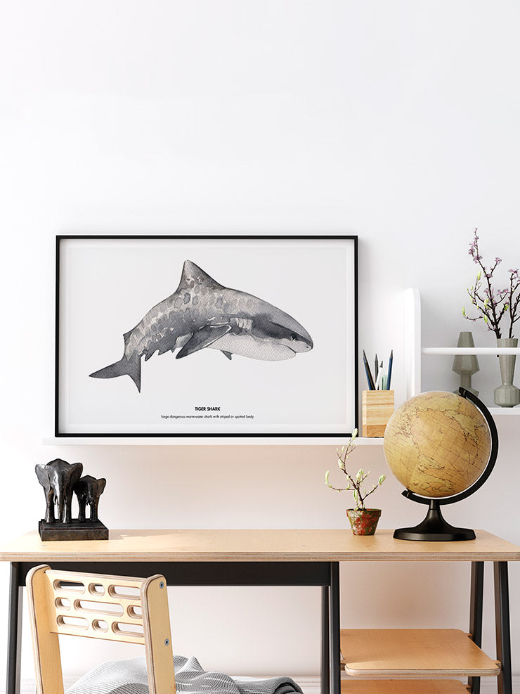 Shark - Art Print Poster