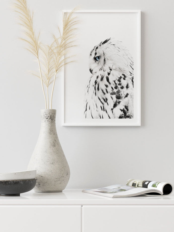 Mavi Gözlü Baykuş - Art Print Poster