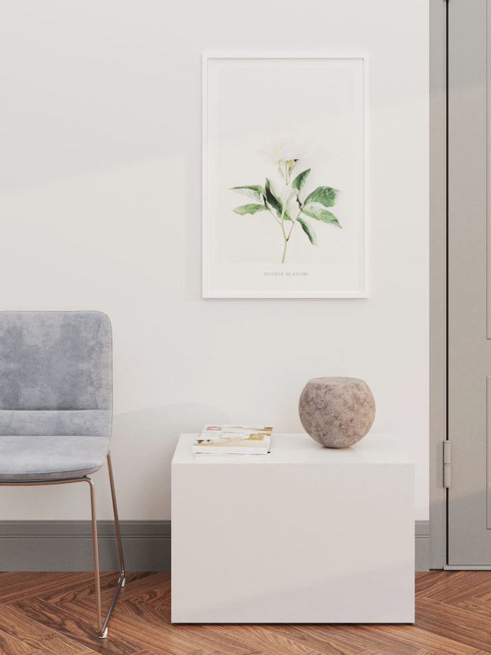 Pivoine Blanche - Art Print Poster