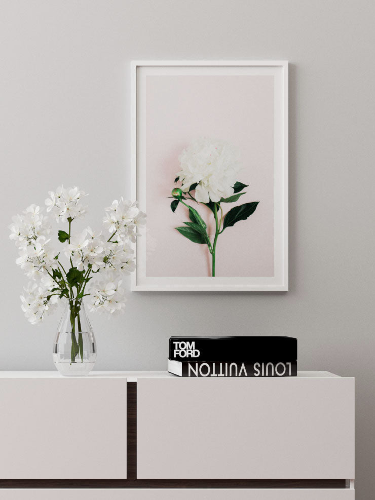 Şakayık Çiçeği - Art Print Poster