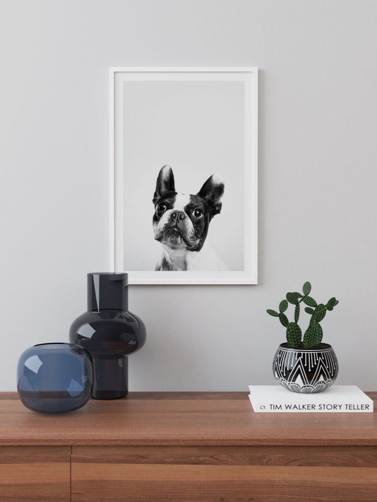 Fransız Bulldog - Art Print Poster
