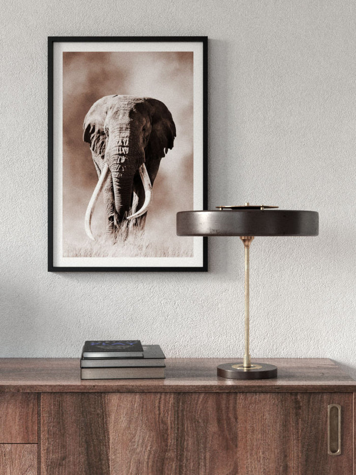 Ivoire - Art Print Poster