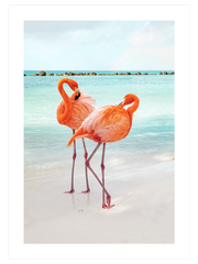 İki Flamingo Poster - Giclée Baskı