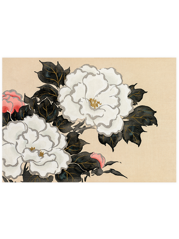 Kamisaka Sekka Flowers from Momoyogusa - Art Print Kamisaka Sekka Flowers from Momoyogusa - Art Print