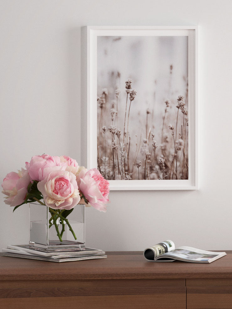 Silvestre N2 - Art Print Poster