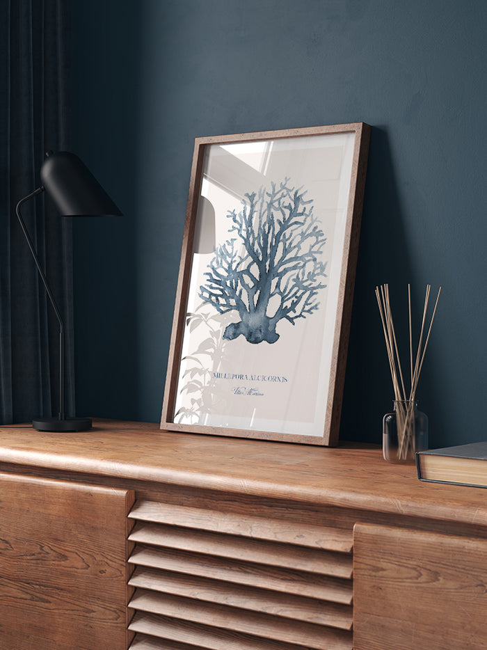 Vita Marina - Art Print Poster