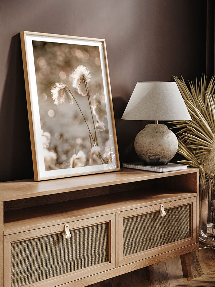 Cottongrass - Art Print Poster