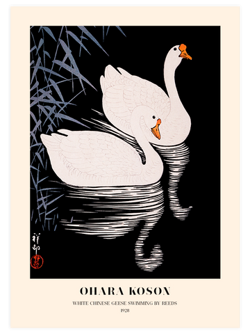 Ohara Koson White Chinese Geese - Art Print Ohara Koson White Chinese Geese - Art Print