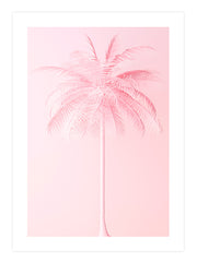 Cool Pink Combination Poster Seti