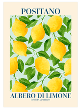 Albero Di Limone - Art Print