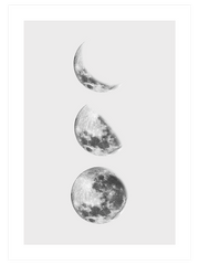 Ayın Halleri Poster - Giclée Baskı