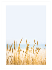 Buğday Tarlası N1 Poster - Giclée Baskı