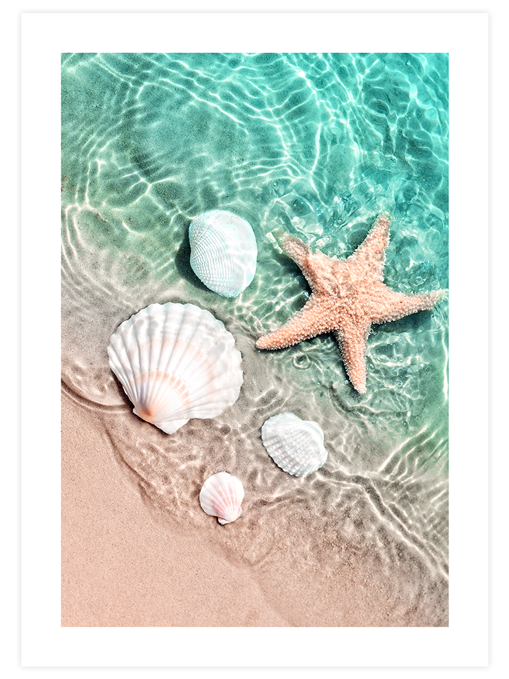 Deniz Yıldızı - Art Print Fotoğraflar Poster