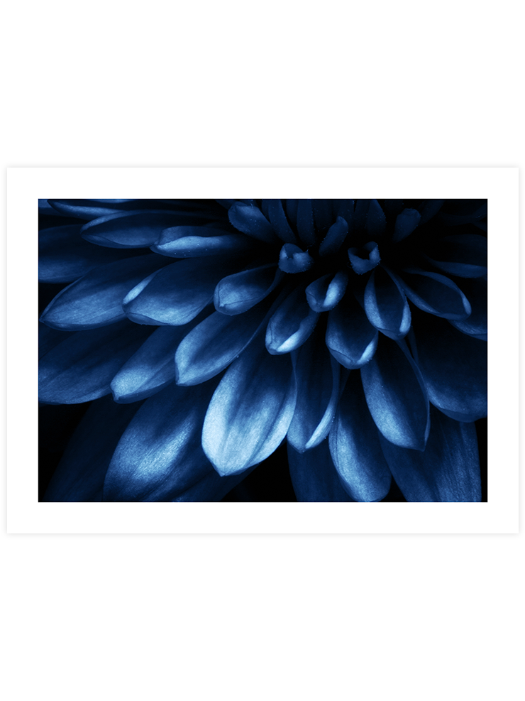 Derin Mavi N2 - Art Print Fotoğraflar Poster