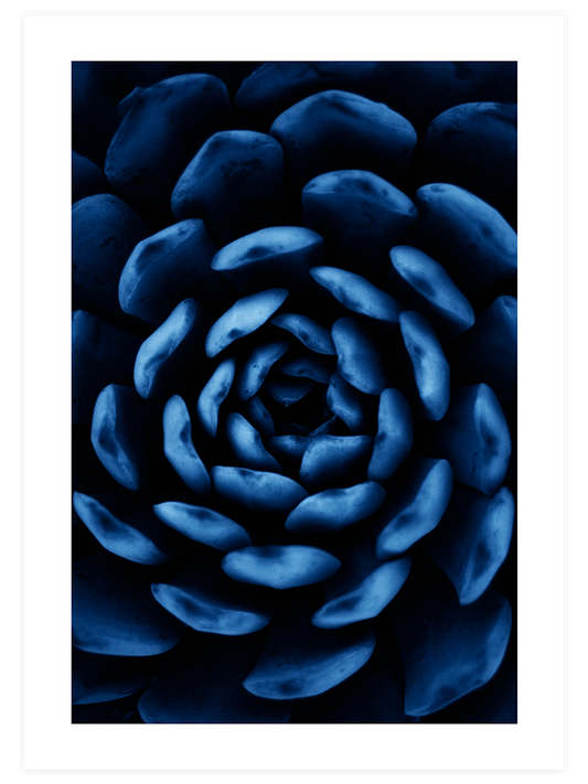 Derin Mavi N6 Poster - Giclée Baskı