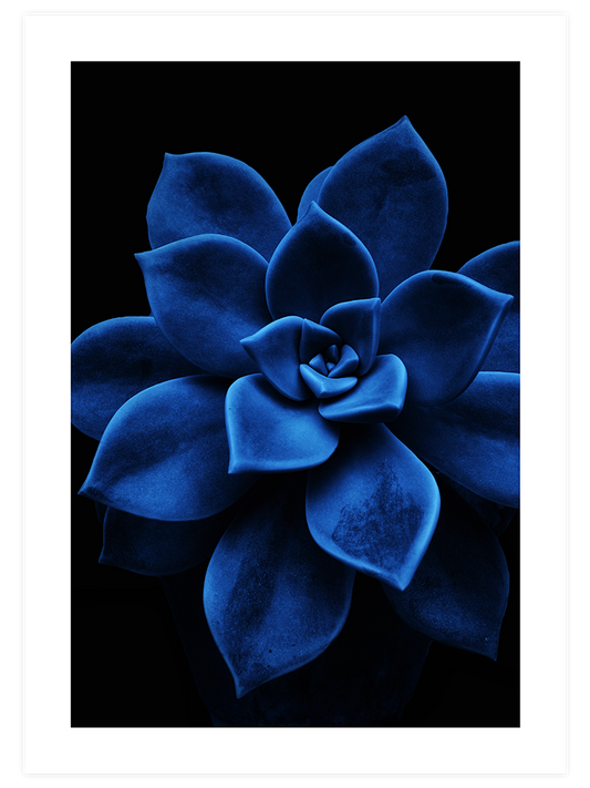 Derin Mavi N5 Poster - Giclée Baskı