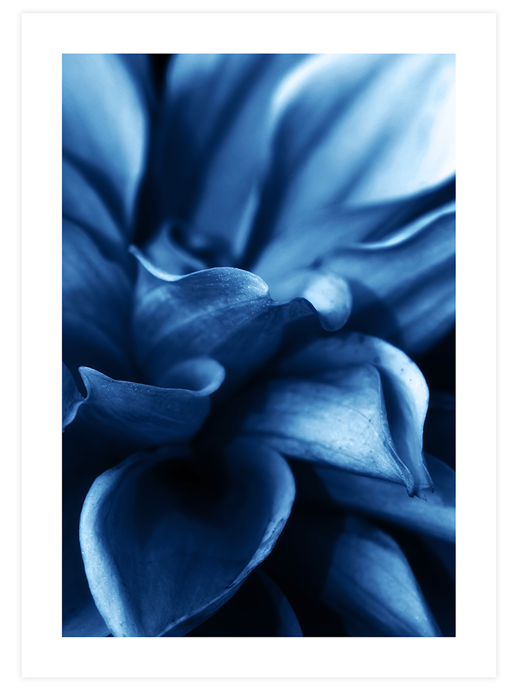 Derin Mavi N4 - Art Print Fotoğraflar Poster