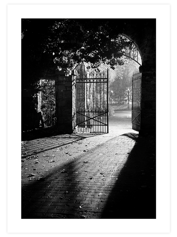 Gün Işığı - Art Print Fotoğraflar Poster