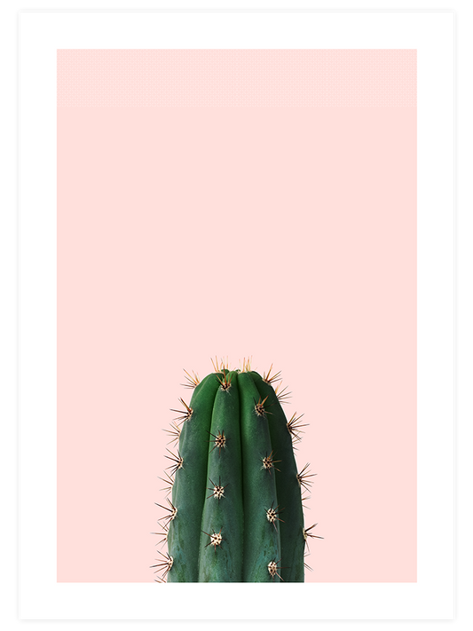 Le Cactus Poster - Giclée Baskı