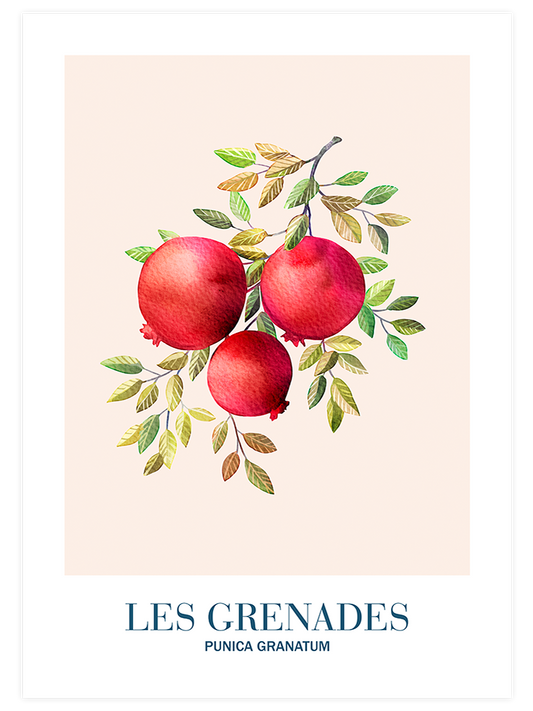 Les Grenades Poster - Giclée Baskı