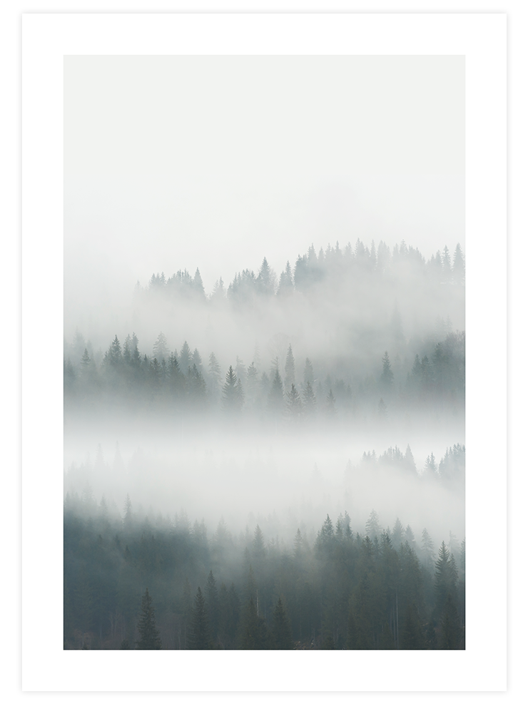 Mysterious Forest - Art Print Fotoğraflar Poster