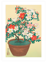 Ohara Koson N13 - Art Print