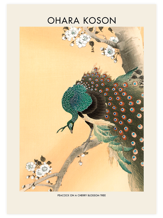 Ohara Koson Peacock On A Cherry Blossom Tree Poster - Giclée Baskı