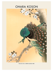 Ohara Koson Peacock On A Cherry Blossom Tree Poster - Giclée Baskı