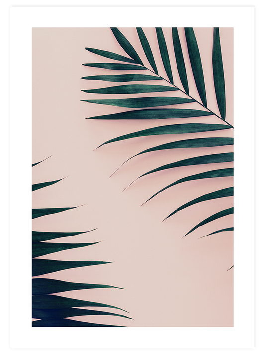 Palmiye N1 Poster - Giclée Baskı
