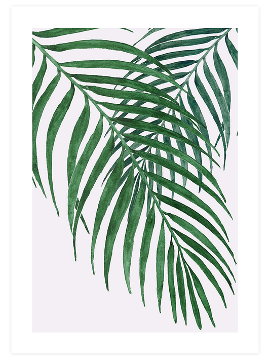 Palmiye Ağacı Yaprakları N1 Poster - Giclée Baskı