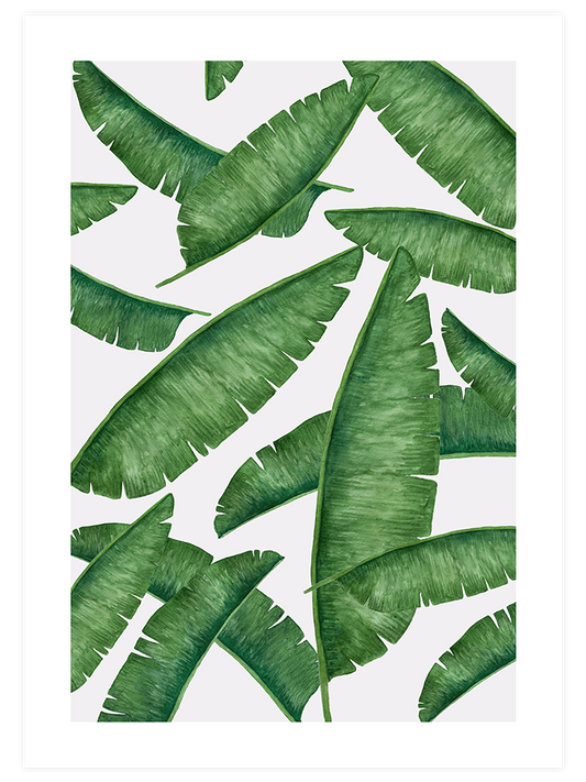 Palmiye Ağacı Yaprakları Poster - Giclée Baskı